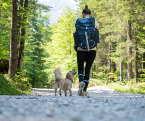 woman walking with dog