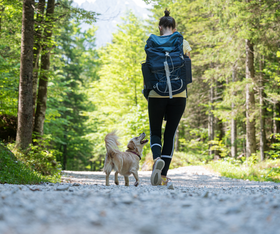 woman walking with dog