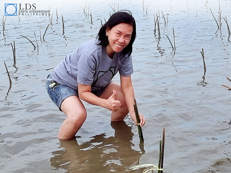 Latter-day Saints planting mangroves in the Phillipines