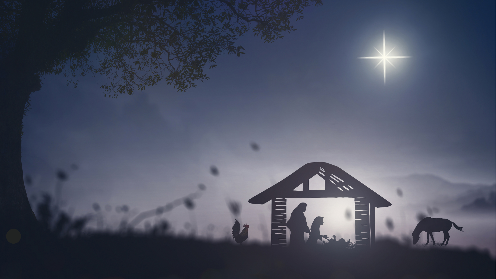 Nativity