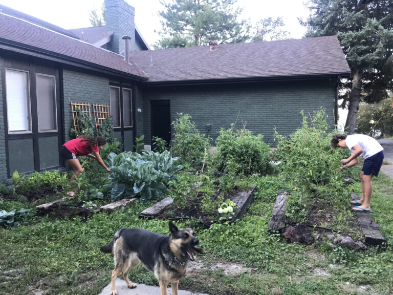 Mountain Vista Homestead